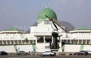 National-Assembly-Electoral Act